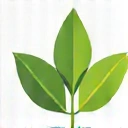 Developer Logo 2